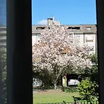 Domus Mea