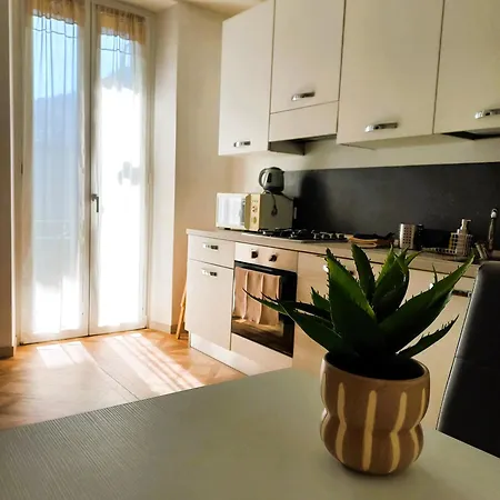 Domus Mea * 多莫多索拉